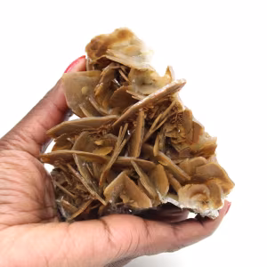 Cristalli marroni di barite da Ouichane