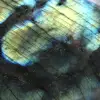 Esemplare di labradorite lucidato dal Madagascar - Decorazione - 6