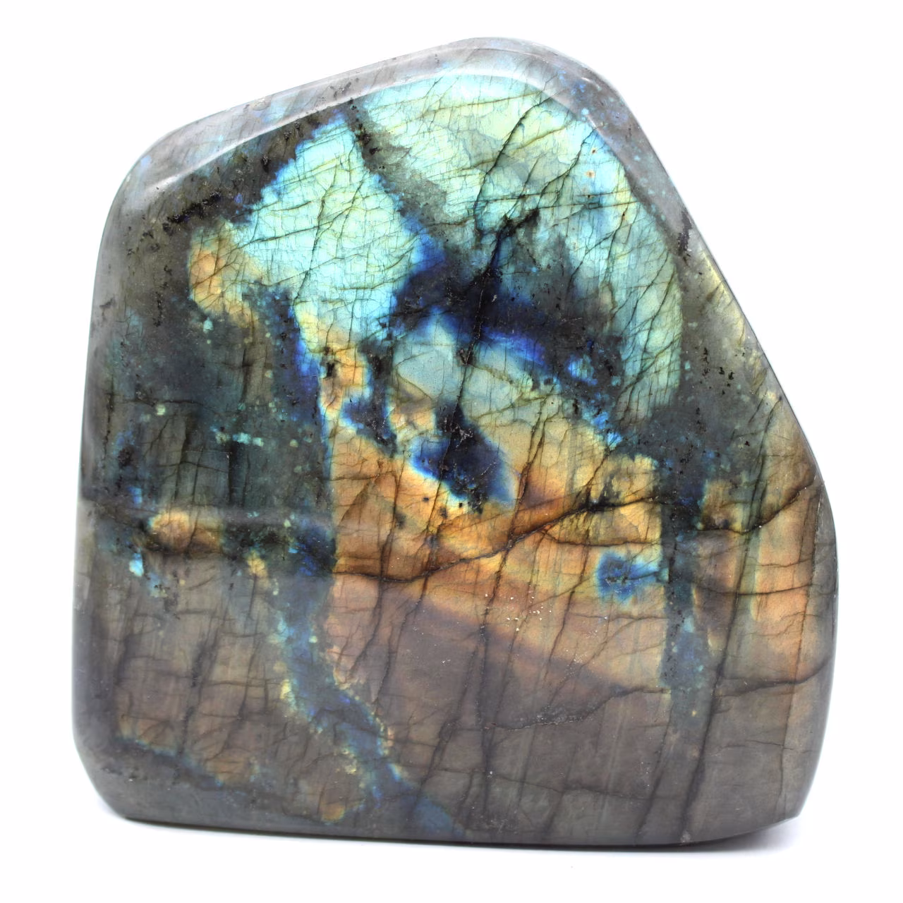 Labradorite lucidata, campione mineralogico