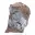 Pirolusite, esemplare autentico su matrice — 1