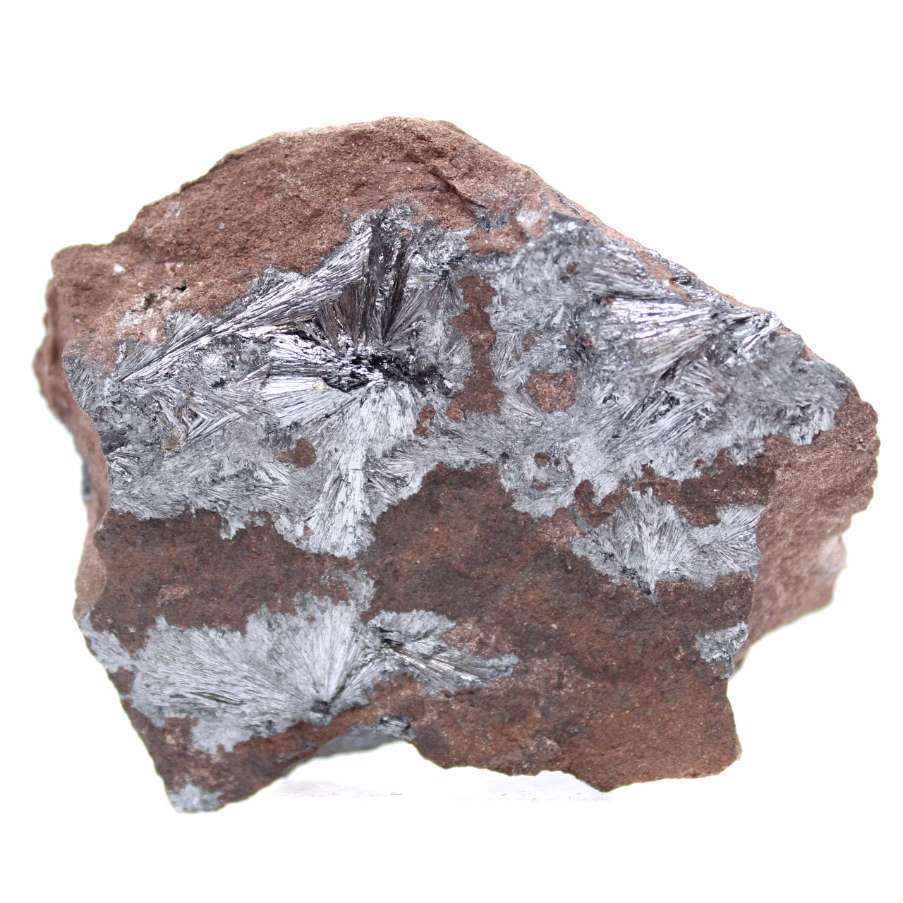 Grande collezione di pezzi di pirolusite cristallizzata