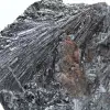 Pirolusite su ganga, collezione e decorazione - 2