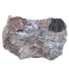 Pirolusite, esemplare autentico su matrice - 0