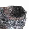 Pirolusite, esemplare autentico su matrice - 2