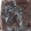 Pirolusite marocchina, cristallizzazione autentica - 2