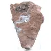 Cristalli di pirolusite autentici su matrice - 2