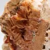 Esemplare di barite arancione marocchina compatta - 3