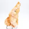 Barite arancione dal Marocco, campione cristallizzato - 1
