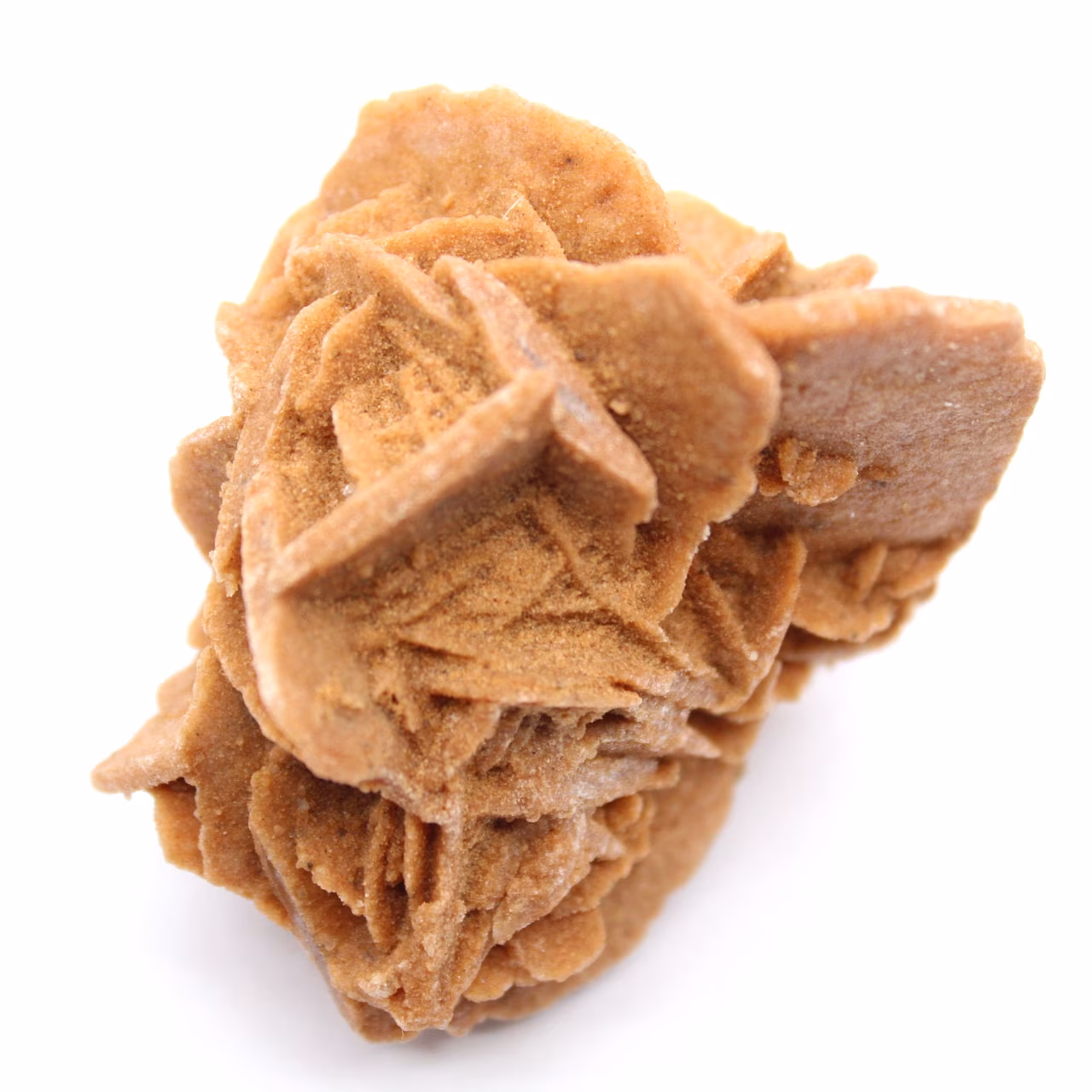 Cristalli di rosa del deserto marocchina per collezioni mineralogiche