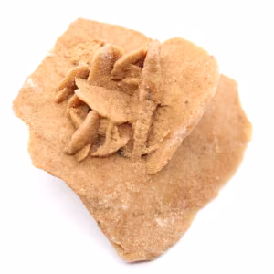 Piccola rosa del deserto del Marocco: frammento geologico naturale