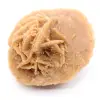 Piccola rosa del deserto del Marocco: frammento geologico naturale - 3