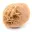 Piccola rosa del deserto del Marocco: frammento geologico naturale — 3