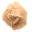 Piccola rosa del deserto del Marocco: frammento geologico naturale — 5