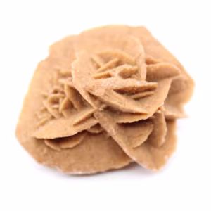 Rosa del deserto marocchina: piccolo oggetto da collezione grezzo