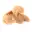 Piccola rosa del deserto del Marocco: frammento geologico naturale — 7