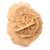 Piccola rosa del deserto del Marocco: frammento geologico naturale - 9