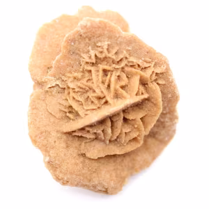 Rosa del deserto marocchina: un bouquet cristallino di gesso