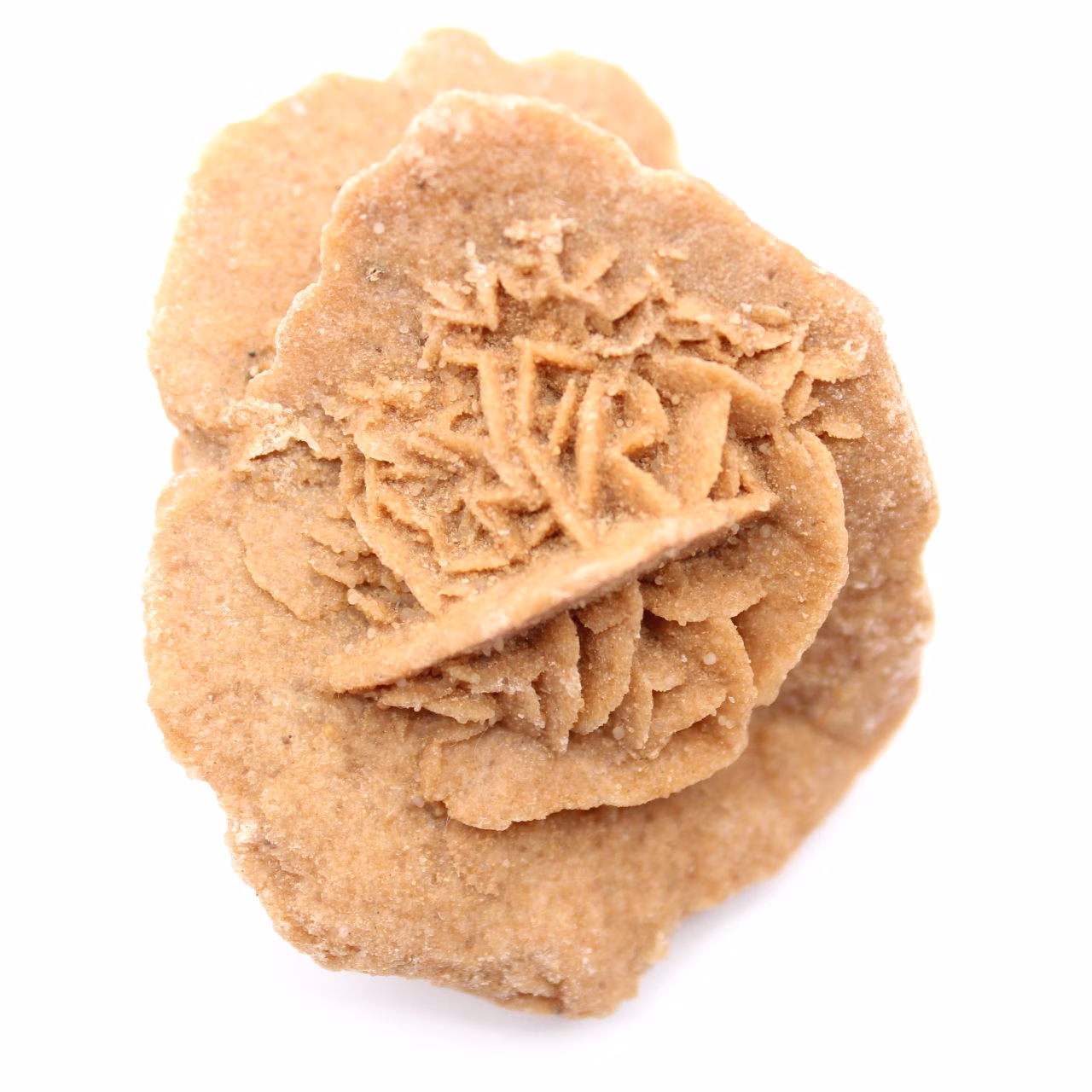 Rosa del deserto marocchina: un bouquet cristallino di gesso