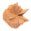 Grande cristallo di rosa del deserto: esemplare dal Marocco - 0