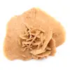 Piccola rosa del deserto del Marocco: frammento geologico naturale - 11