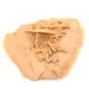 Rosa del deserto marocchina chiara: cristallizzazione fine - 2