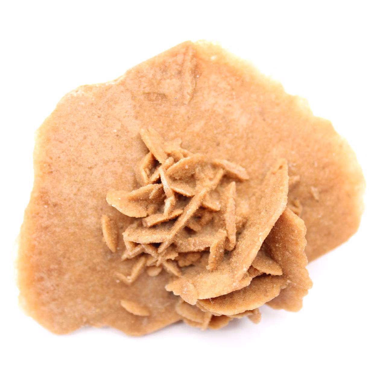 Rosa del deserto marocchina chiara: cristallizzazione fine
