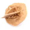 Rosa del deserto marocchina: gesso naturale ed estetico - 2