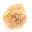 Piccola rosa del deserto del Marocco: frammento geologico naturale — 13