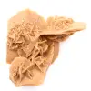 Rosa del deserto del Marocco: consistente cristallo di gesso - 3