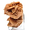 Rosa del deserto del Sahara algerino - 2