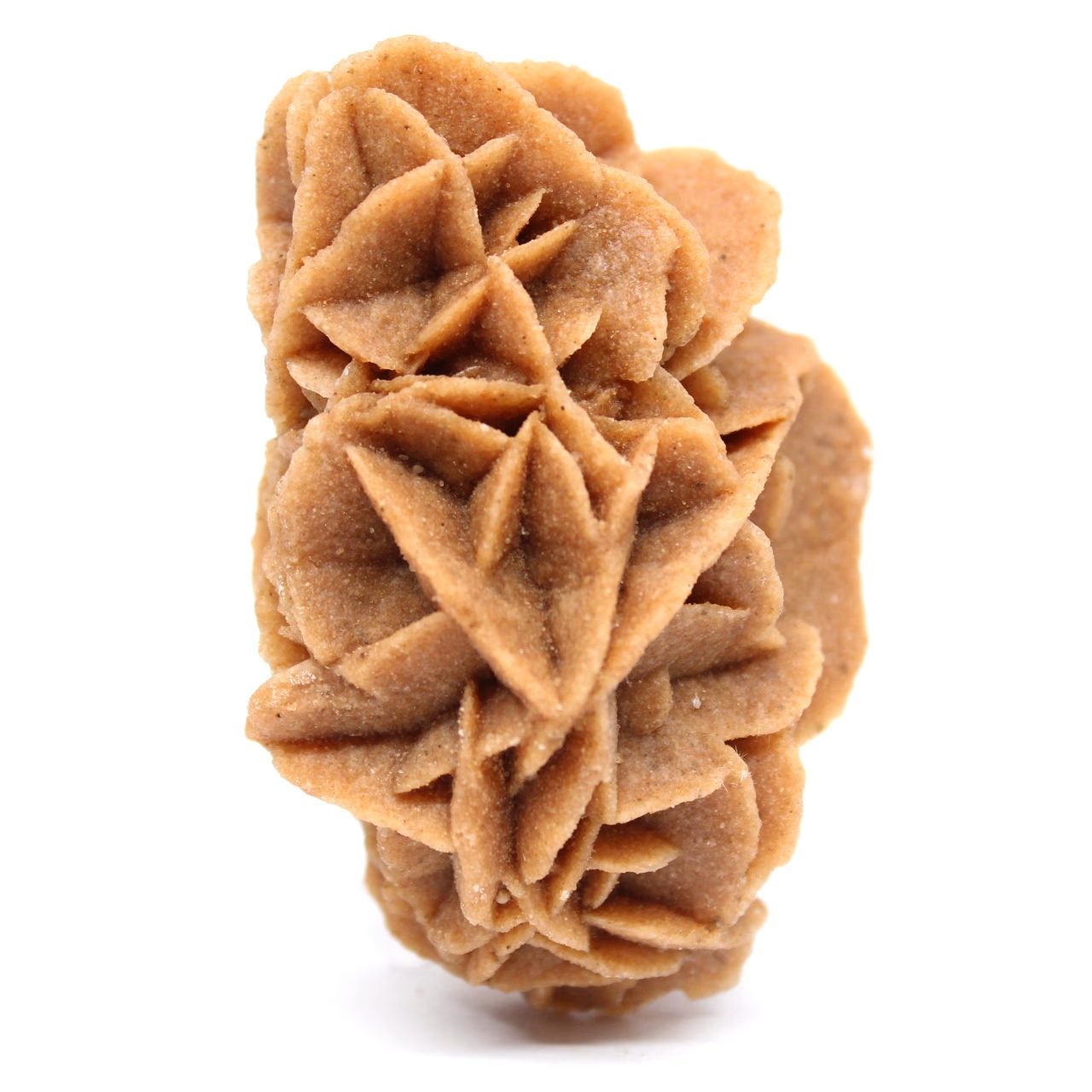 Cristalli di gesso a rosetta naturale