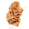 Evaporite da collezione algerina - 3