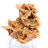 Esemplare mineralogico grezzo proveniente dal deserto - 0