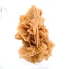 Frammento di gesso cristallizzato proveniente dall'Algeria - 3