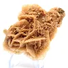 Scultura minerale realizzata in sabbia e gesso - 0