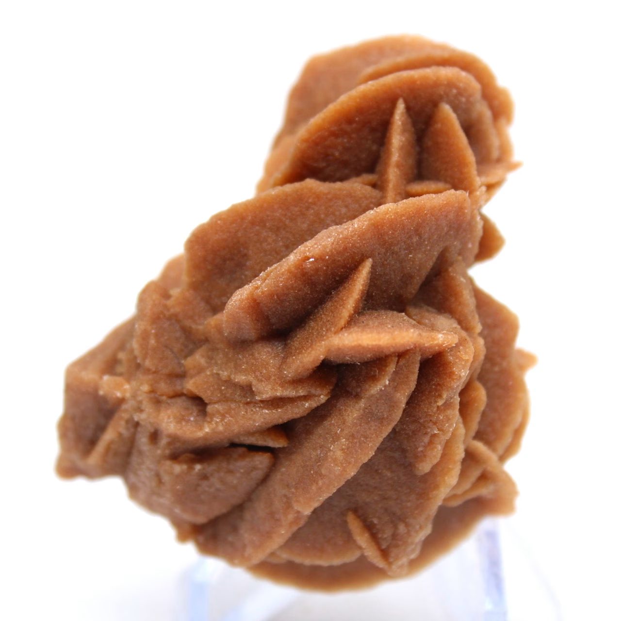 Tesoro minerale delle dune algerine