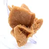 Cristallizzazione autentica del gesso - 3