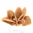 Cristallizzazione autentica del gesso