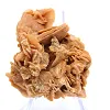 Esemplare di gesso ocra cristallizzato - 2