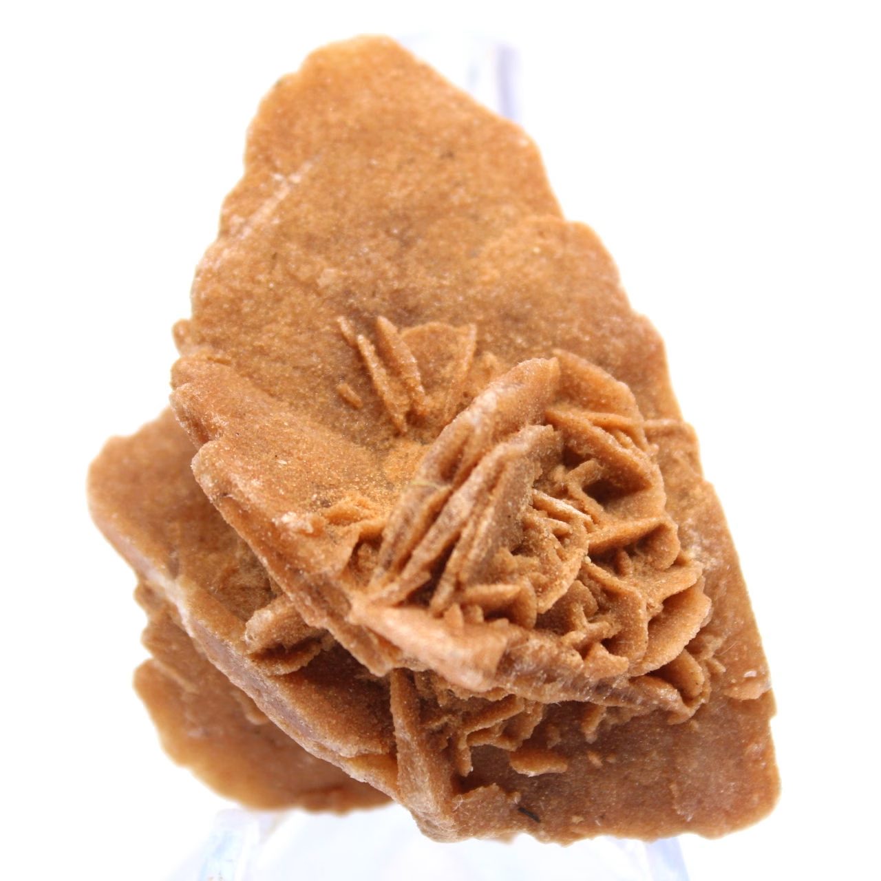 Esemplare mineralogico di sabbia e sale