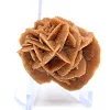 Rosetta di sabbia e gesso naturale - 3
