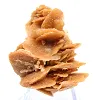 Petali di sabbia cristallizzati, Algeria - 3
