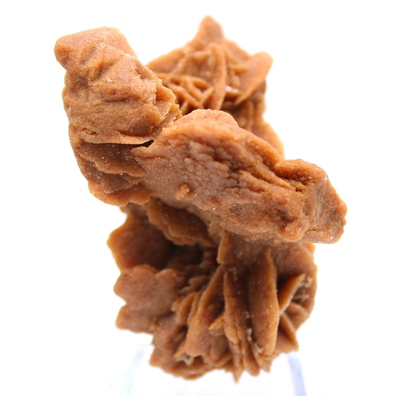 Cluster cristallino di gesso sahariano