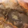 Legno di Majunga pietrificato - Fetta lucidata di origine naturale - 4
