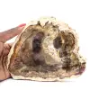 Fetta di legno silicizzato naturale - Esemplare dal Madagascar - 0