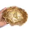 Piccola fetta di legno pietrificato - Autenticità dal Madagascar - 0
