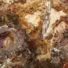 Grande fetta di legno pietrificato - Collezione Majunga - 4