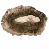 Fetta allungata di legno silicizzato - Origine: Madagascar - 1