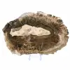Fetta allungata di legno silicizzato - Origine: Madagascar - 2