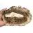 Fetta allungata di legno silicizzato - Origine: Madagascar